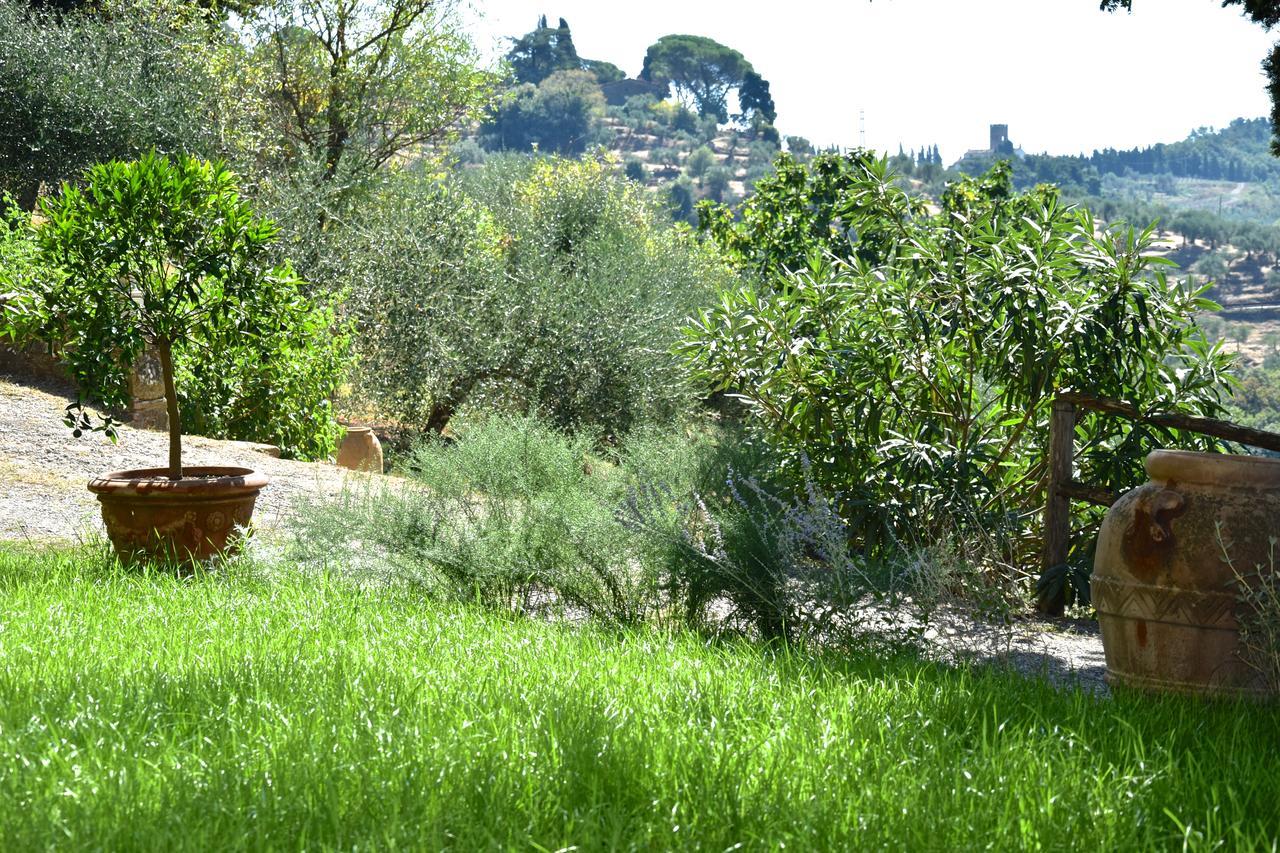 לינה וארוחת בוקר San Martino in Freddana Palazzina Del Chiasso מראה חיצוני תמונה