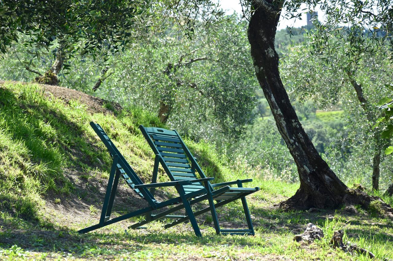 לינה וארוחת בוקר San Martino in Freddana Palazzina Del Chiasso מראה חיצוני תמונה