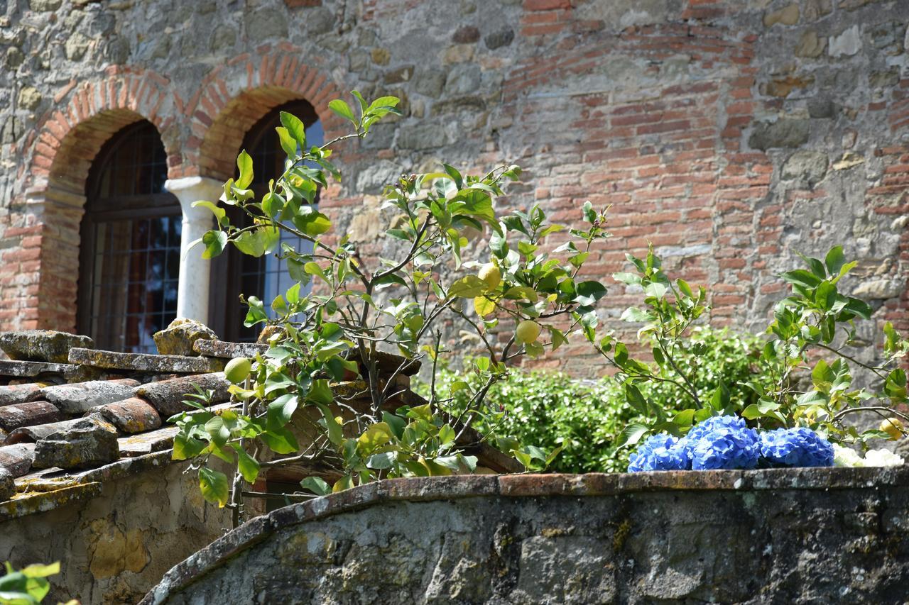 לינה וארוחת בוקר San Martino in Freddana Palazzina Del Chiasso מראה חיצוני תמונה